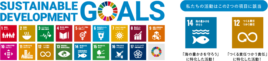 Sustainable Development Goals